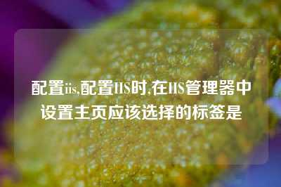 配置iis,配置IIS时,在IIS管理器中设置主页应该选择的标签是