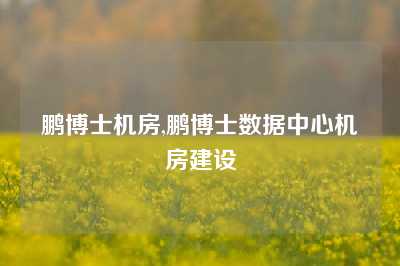 鹏博士机房,鹏博士数据中心机房建设