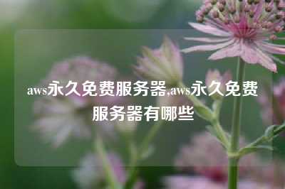 aws永久免费服务器,aws永久免费服务器有哪些