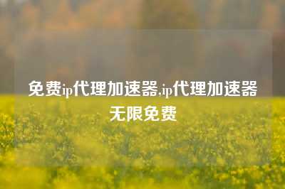 免费ip代理加速器,ip代理加速器无限免费