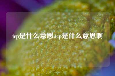 icp是什么意思,icp是什么意思啊