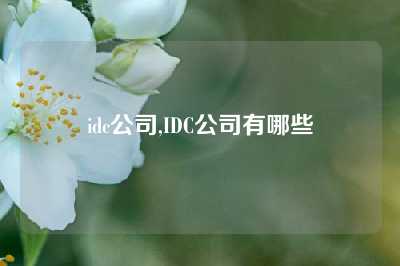 idc公司,IDC公司有哪些