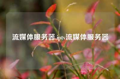 流媒体服务器,iptv流媒体服务器