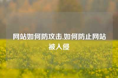 网站如何防攻击,如何防止网站被入侵