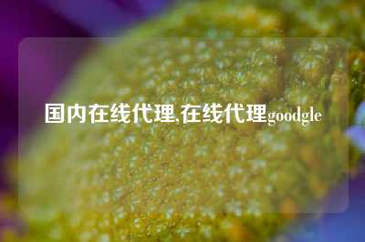 国内在线代理,在线代理goodgle