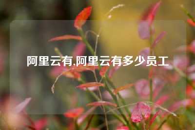 阿里云有,阿里云有多少员工