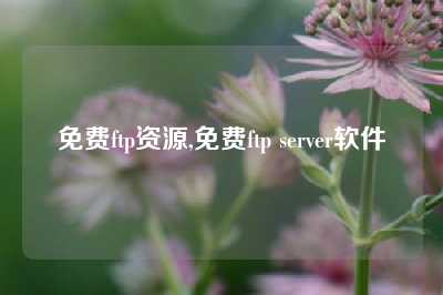 免费ftp资源,免费ftp server软件