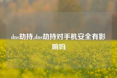 dns劫持,dns劫持对手机安全有影响吗