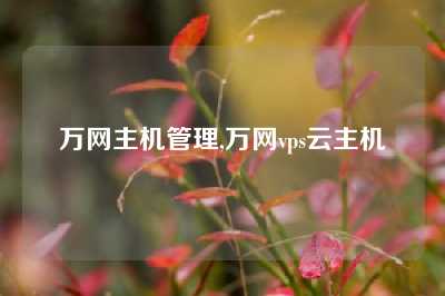 万网主机管理,万网vps云主机