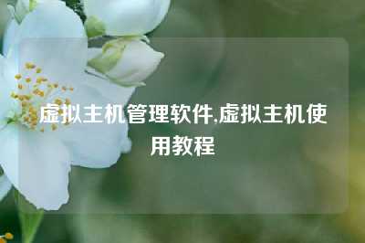 虚拟主机管理软件,虚拟主机使用教程