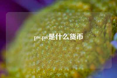pw,pw是什么货币