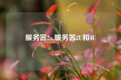 服务器2u,服务器2U和4U