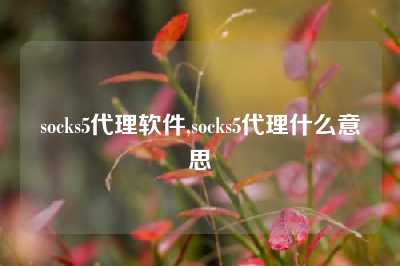 socks5代理软件,socks5代理什么意思