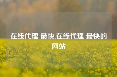 在线代理 最快,在线代理 最快的网站