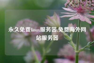 永久免费linux服务器,免费海外网站服务器
