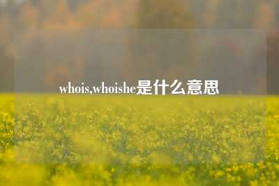 whois,whoishe是什么意思