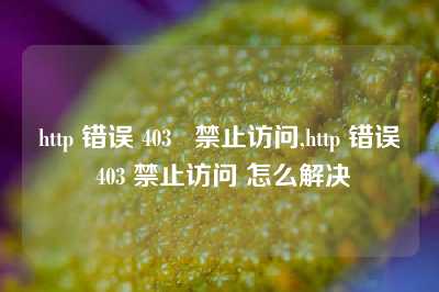 http 错误 403   禁止访问,http 错误 403 禁止访问 怎么解决