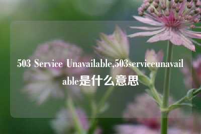 503 Service Unavailable,503serviceunavailable是什么意思