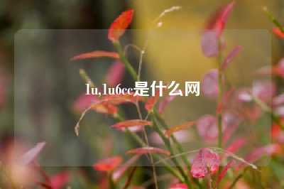 1u,1u6cc是什么网