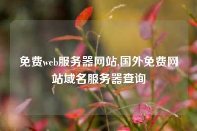 免费web服务器网站,国外免费网站域名服务器查询