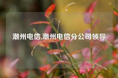 潮州电信,潮州电信分公司领导