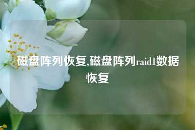 磁盘阵列恢复,磁盘阵列raid1数据恢复