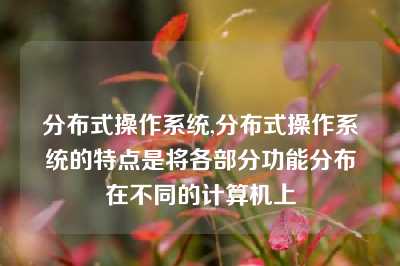 分布式操作系统,分布式操作系统的特点是将各部分功能分布在不同的计算机上
