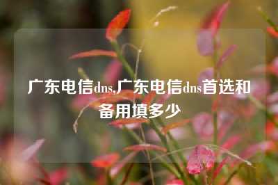 广东电信dns,广东电信dns首选和备用填多少