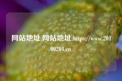 网站地址,网站地址:https://www.20100204.cn
