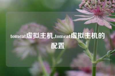 tomcat虚拟主机,tomcat虚拟主机的配置