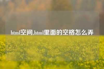 html空间,html里面的空格怎么弄