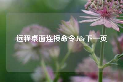 远程桌面连接命令,h3c下一页