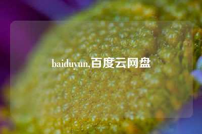 baiduyun,百度云网盘