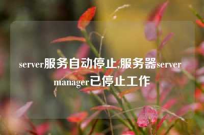 server服务自动停止,服务器server manager已停止工作