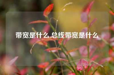 带宽是什么,总线带宽是什么