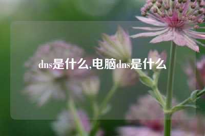 dns是什么,电脑dns是什么