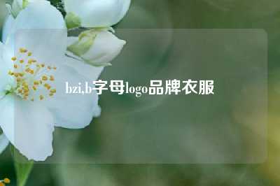bzi,b字母logo品牌衣服