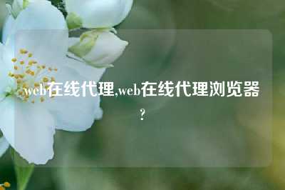 web在线代理,web在线代理浏览器?