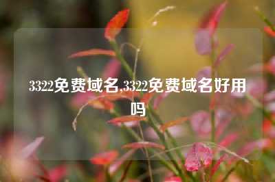 3322免费域名,3322免费域名好用吗
