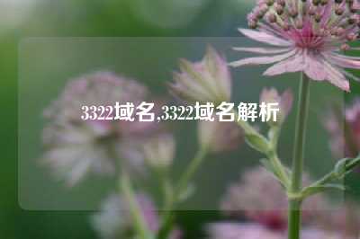 3322域名,3322域名解析