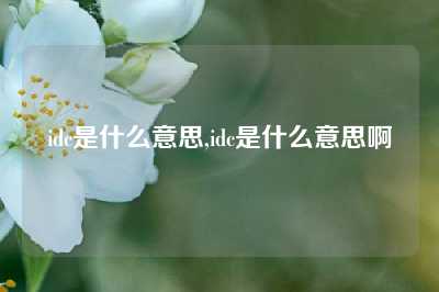 idc是什么意思,idc是什么意思啊