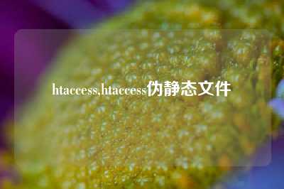 htaccess,htaccess伪静态文件