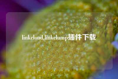 linkcloud,linkclump插件下载