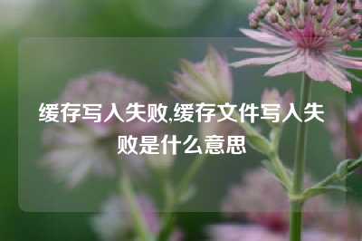 缓存写入失败,缓存文件写入失败是什么意思