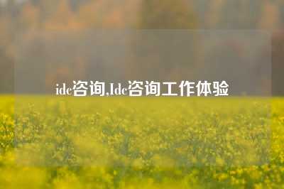 idc咨询,Idc咨询工作体验