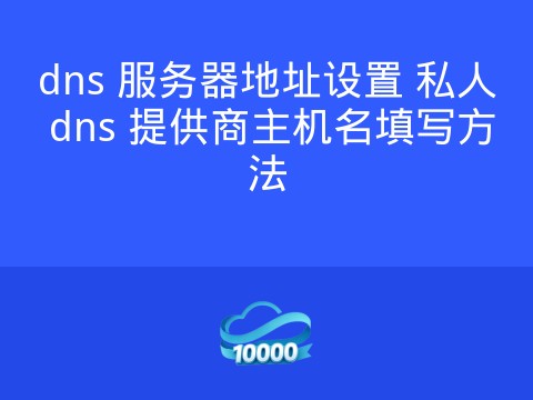 dns 服务器地址设置 私人 dns 提供商主机名填写方法