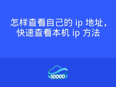 怎样查看自己的 ip 地址,快速查看本机 ip 方法