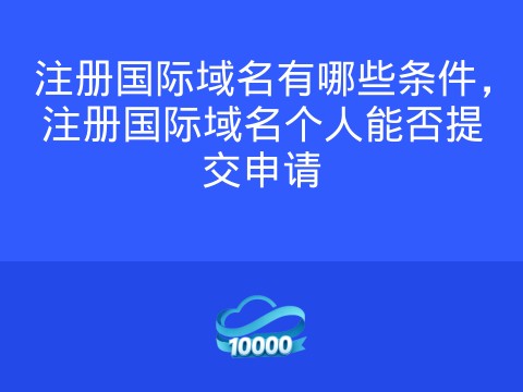 注册国际域名有哪些条件,注册国际域名个人能否提交申请