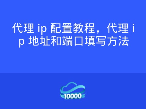 代理 ip 配置教程,代理 ip 地址和端口填写方法