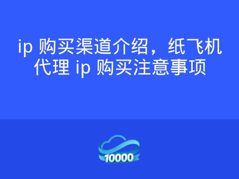ip 购买渠道介绍，纸飞机代理 ip 购买注意事项